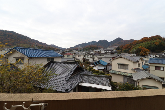 眺望　※別部屋の写真です