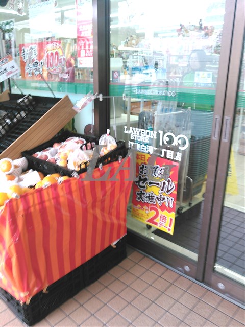 コンビニ　ローソンストア100 江東白河二丁目（コンビニ）まで272m