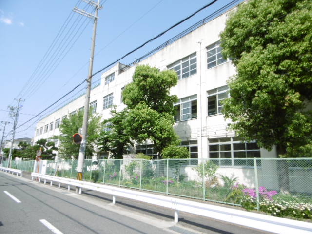 小学校　東大阪市立 花園小学校（小学校）まで253m