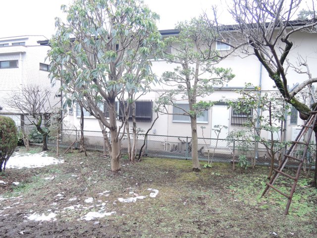 庭
