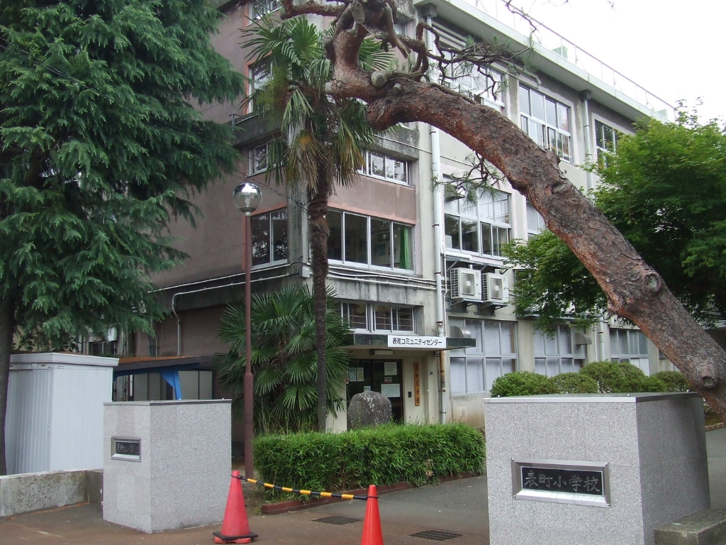 小学校　長岡市立表町小学校（小学校）まで700m