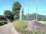 公園　烏ヶ森公園（公園）まで150m