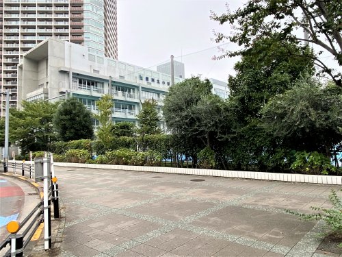 小学校　豊洲北小学校（小学校）まで251m