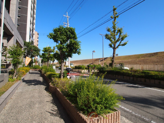 その他　周辺（その他）まで10m