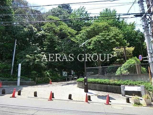 公園　林試の森公園（公園）まで311m