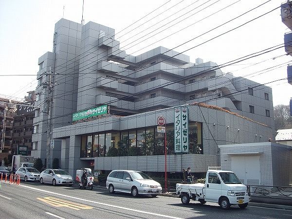 飲食店　サイゼリア（飲食店）まで250m