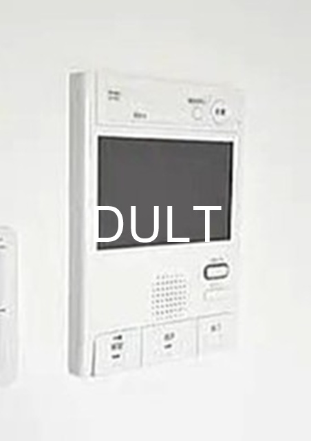 セキュリティ　モニター付きインターホンです。