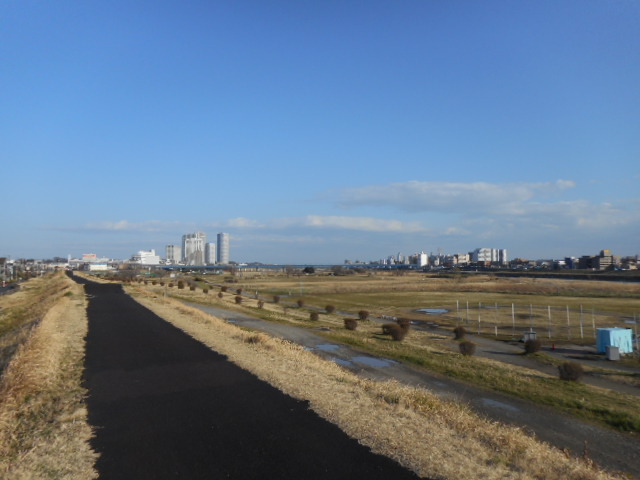 その他　二子玉川緑地