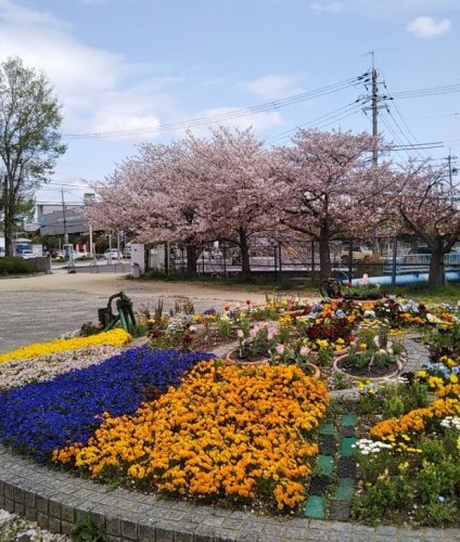 その他　中の池公園運動広場（その他）まで566m