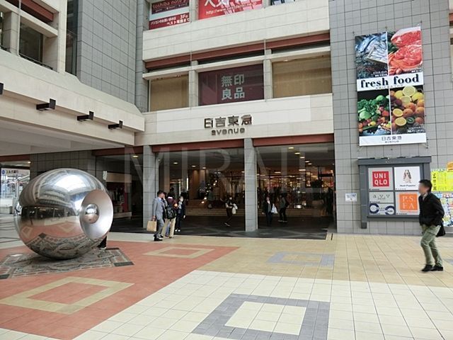 ショッピングセンター　日吉東急avenue（ショッピングセンター）まで1850m