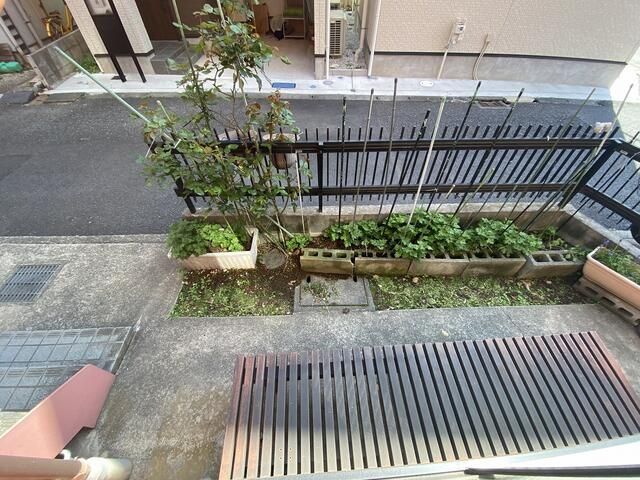庭