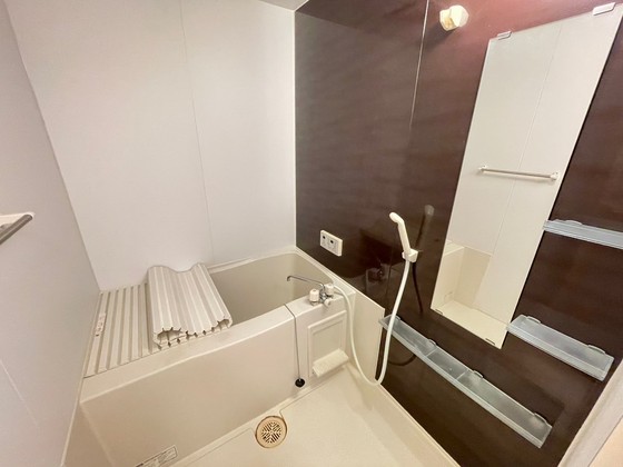 バス・シャワールーム　※別部屋の写真です