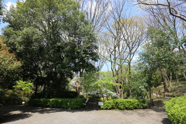 公園　せせらぎ公園（公園）まで200m