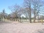 公園　武蔵野中央公園（公園）まで551m