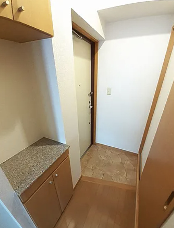 玄関　※反転タイプのお部屋の写真を使用しています。