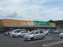 スーパー　TSURUYA(ツルヤ) 並柳店（スーパー）まで1303m