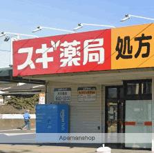 ドラックストア　スギ薬局厚木愛甲店（ドラッグストア）まで800m