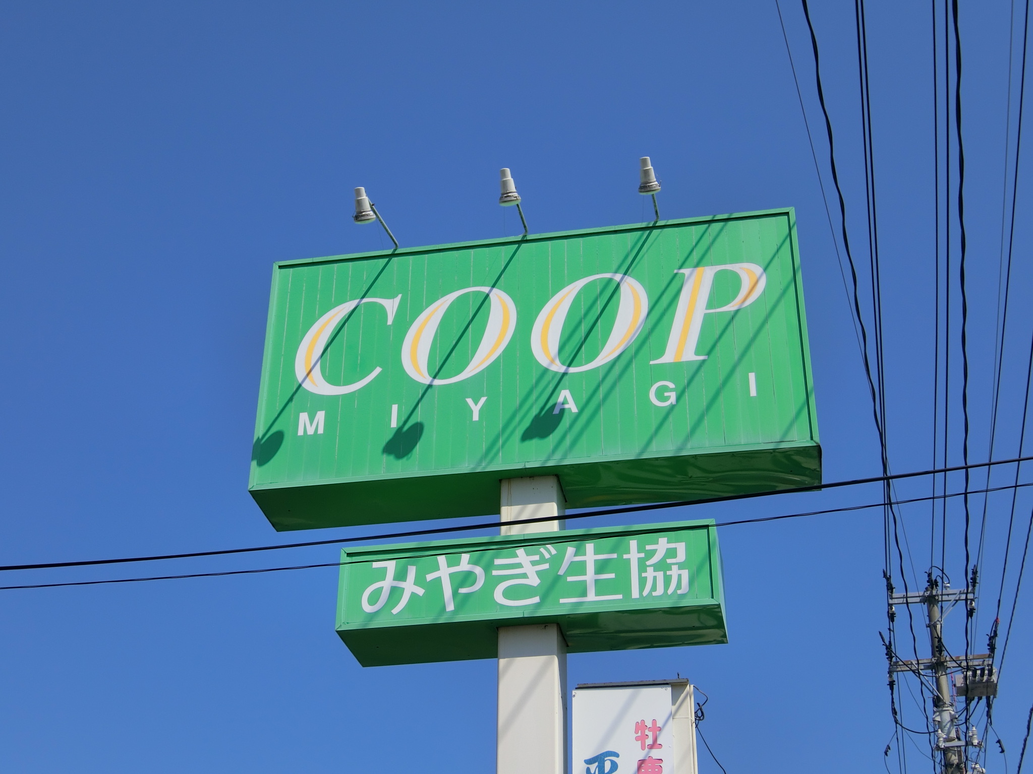 スーパー　COOP　MIYAGI新田東店（スーパー）まで280m