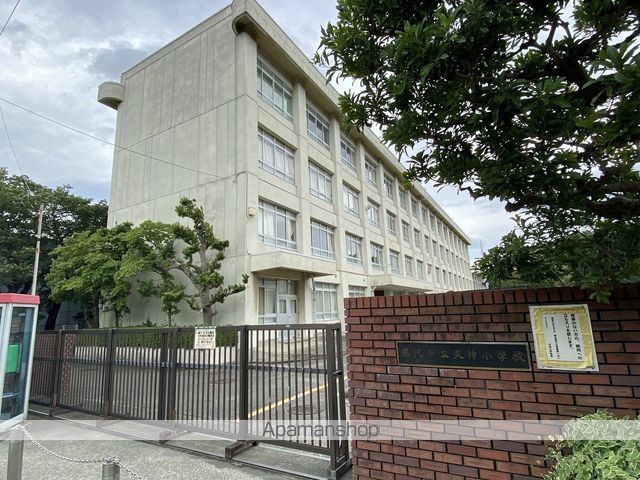 小学校　藤沢市立天神小学校（小学校）まで567m