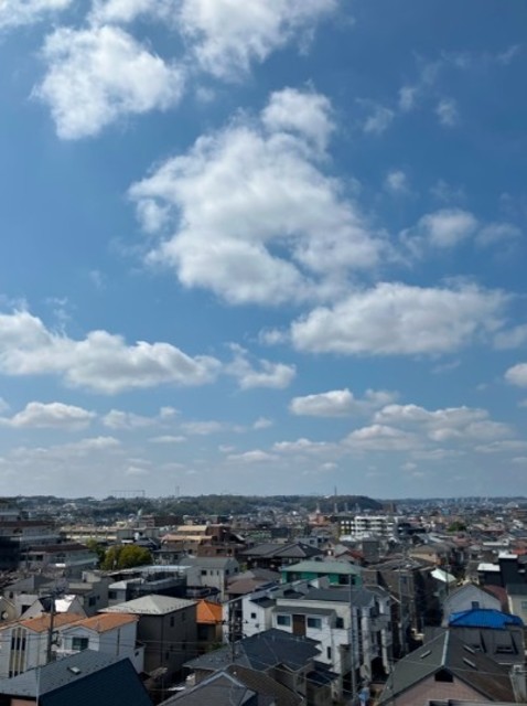 眺望