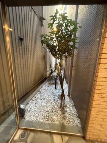 庭