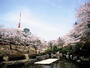 公園　八幡山公園（公園）まで489m