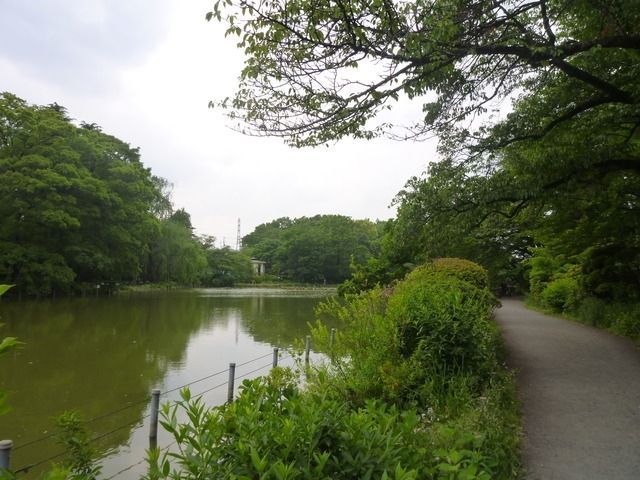 公園　善福寺公園（公園）まで700m