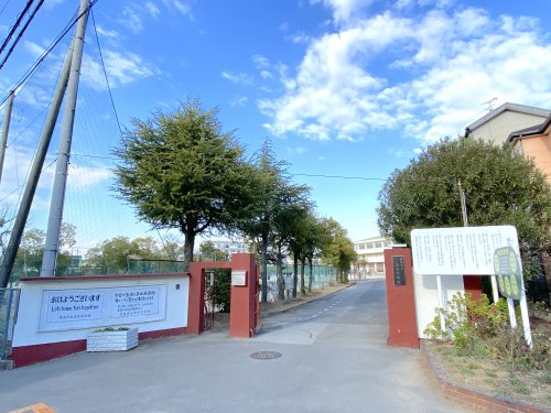 中学校　高石市立高石中学校（中学校）まで1049m