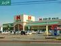 スーパー　ハローズ東岡山店（スーパー）まで503m