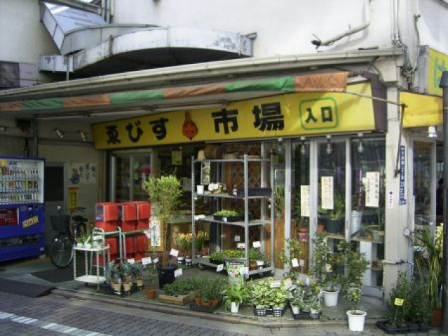小学校　大田区立中富小学校（小学校）まで305m