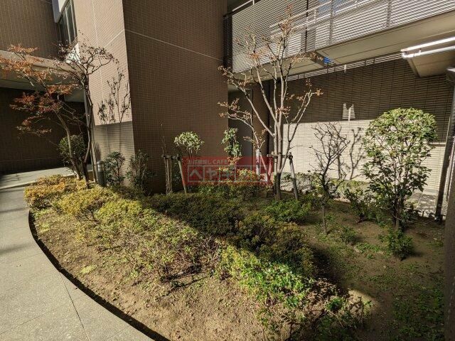 庭
