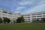 小学校　第六砂町小学校（小学校）まで785m