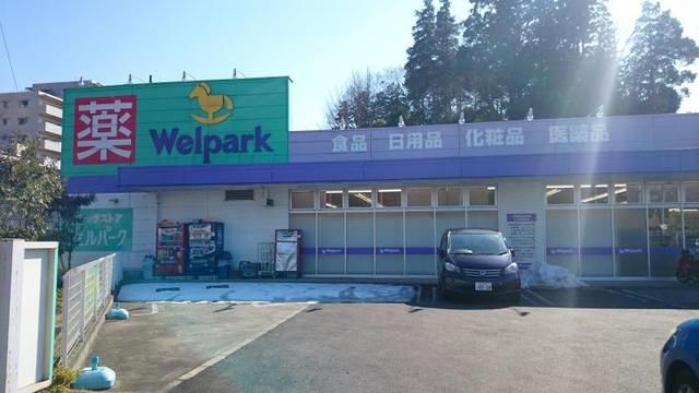 ドラックストア　ウェルパーク八王子堀之内店（ドラッグストア）まで1289m