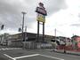 ホームセンター　ひらせいホームセンター坂井店（ホームセンター）まで705m