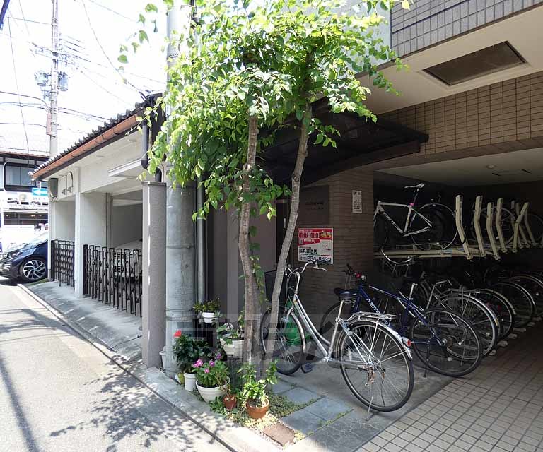 庭