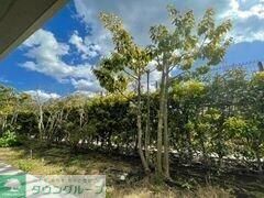 プラウド町田のその他写真