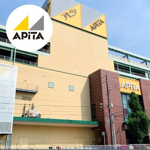 ショッピングセンター　アピタ千代田橋店（ショッピングセンター）まで744m