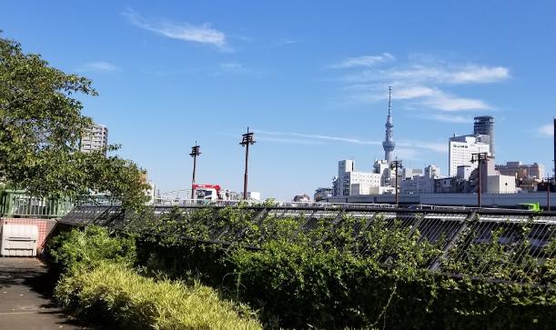 公園　千代田公園（公園）まで264m