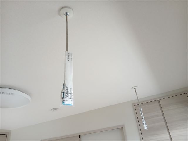 ライラックのその他写真