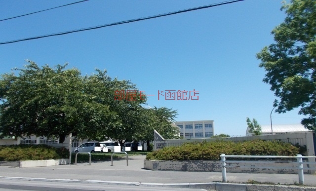 小学校　鍛神小学校（小学校）まで750m