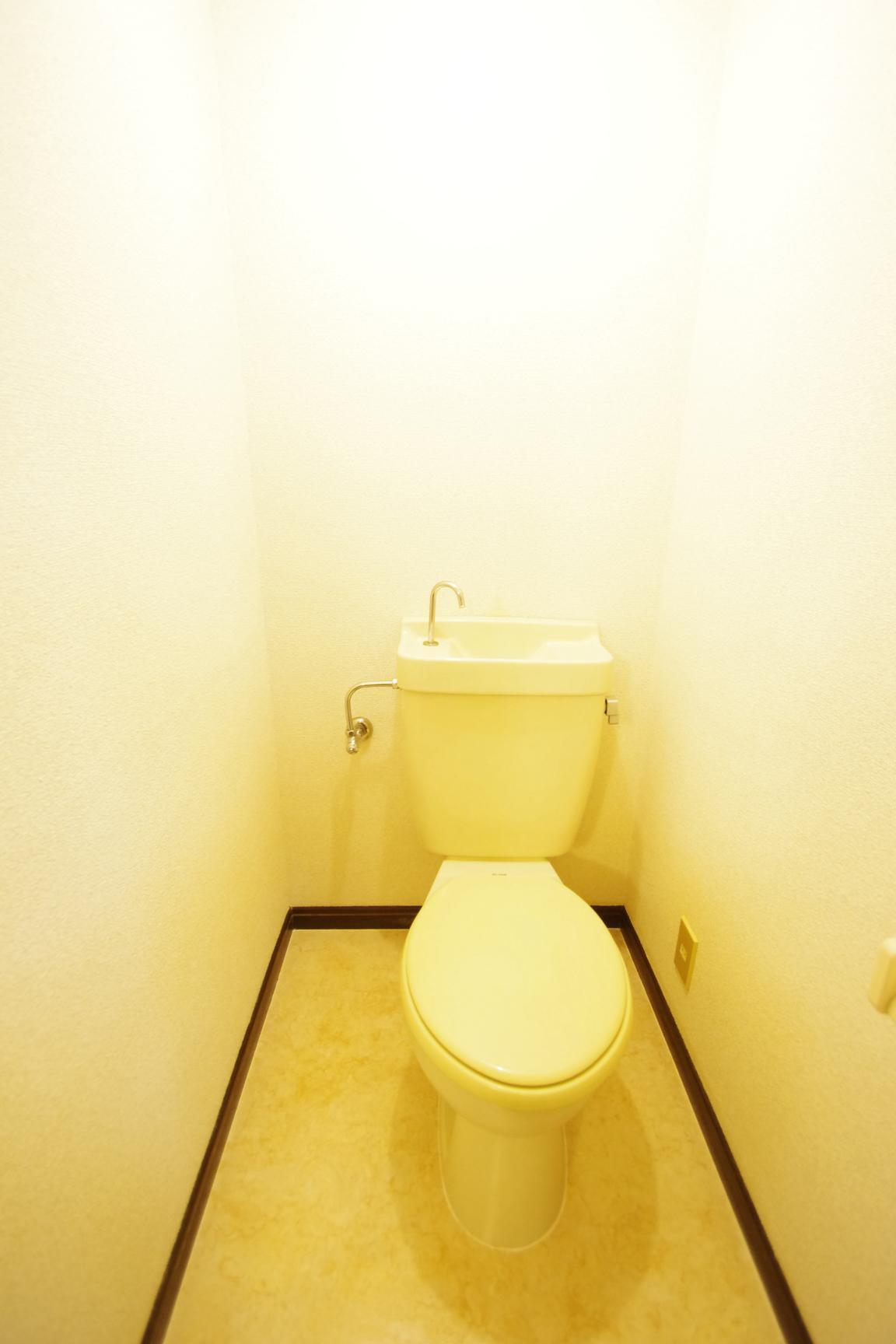 メゾン・ド・ソフィア黒髪のトイレ写真