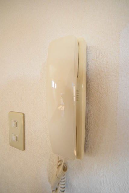 レウィシアのその他写真