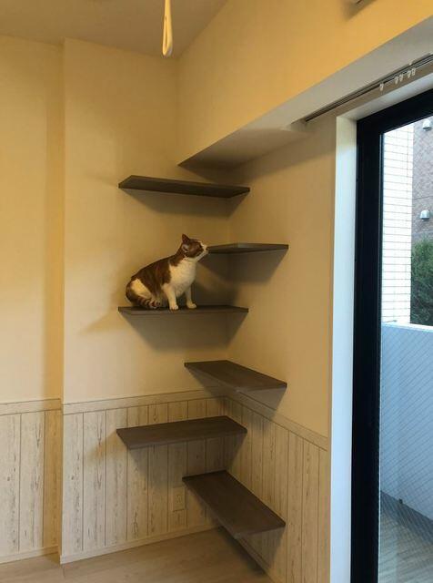 収納　※写真は同タイプ住戸です。