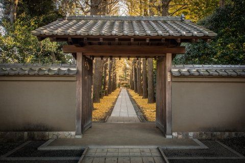 フェニックス荻窪参番館の周辺写真