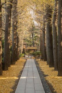 フェニックス荻窪参番館の周辺写真
