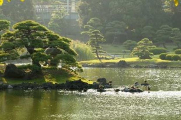 公園　金杉濱町緑地（公園）まで149m