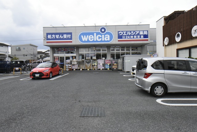 ドラックストア　ウエルシア東川口店（ドラッグストア）まで762m