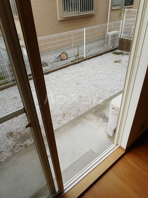 庭