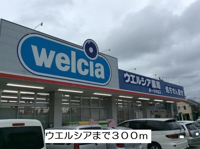 ドラックストア　ウエルシア（ドラッグストア）まで300m