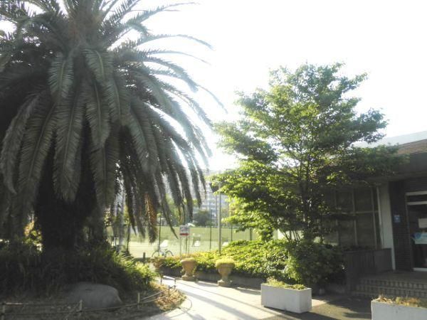 公園　富士見公園（公園）まで497m